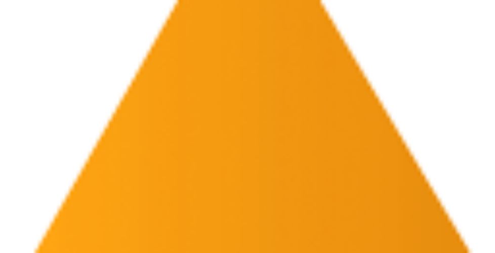 W4S-Logo-OrangeTriangle
